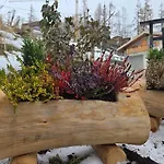 La Casa Di Natan In And Out Alpine Retreat