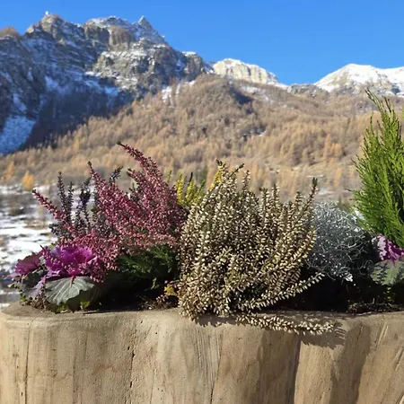 La Casa Di Natan In And Out Alpine Retreat *