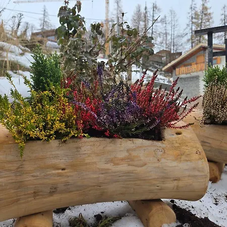 La Casa Di Natan In And Out Alpine Retreat *